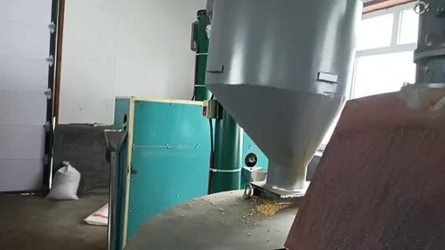 大豆榨油機廠家