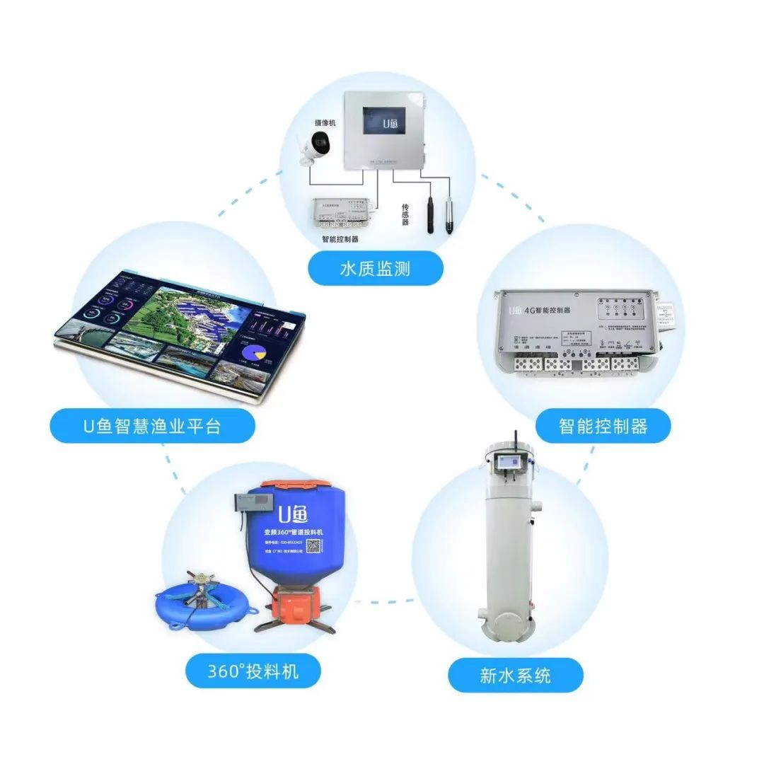 養(yǎng)殖設(shè)備免費(fèi)送？互聯(lián)網(wǎng)技術(shù)如何重塑養(yǎng)殖設(shè)施行業(yè)新格局